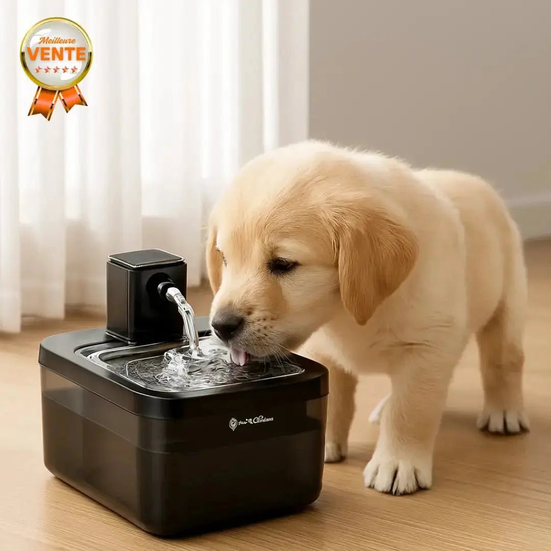 Pack Distributeur EasyFeed Auto + Fontaine AquaFlow - Fidoz