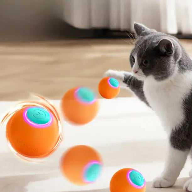Jouet Interactif Automatique pour Chat – Balle Rebondissante Fidoz